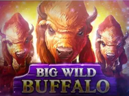 Big Wild Buffalo